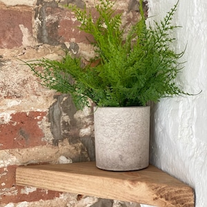 May include: A wooden corner shelf with a potted green plant. The shelf is mounted on a brick wall and the plant is in a gray concrete pot.
