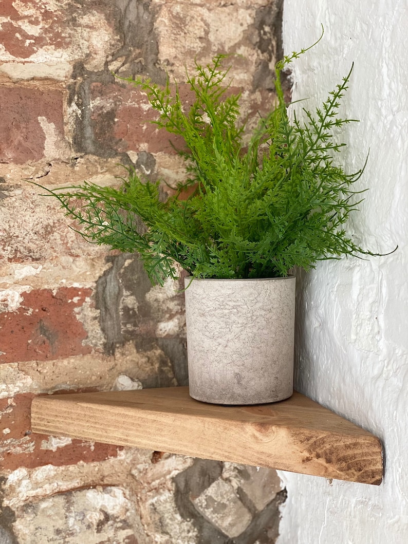 May include: A wooden corner shelf with a potted green plant. The shelf is mounted on a brick wall and the plant is in a gray concrete pot.
