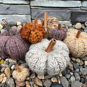 May include: A selection of hand-knitted pumpkins in shades of orange, purple, and cream. Each pumpkin features a cinnamon stick stem. The pumpkins are displayed on a bed of small stones, creating a rustic autumn theme.