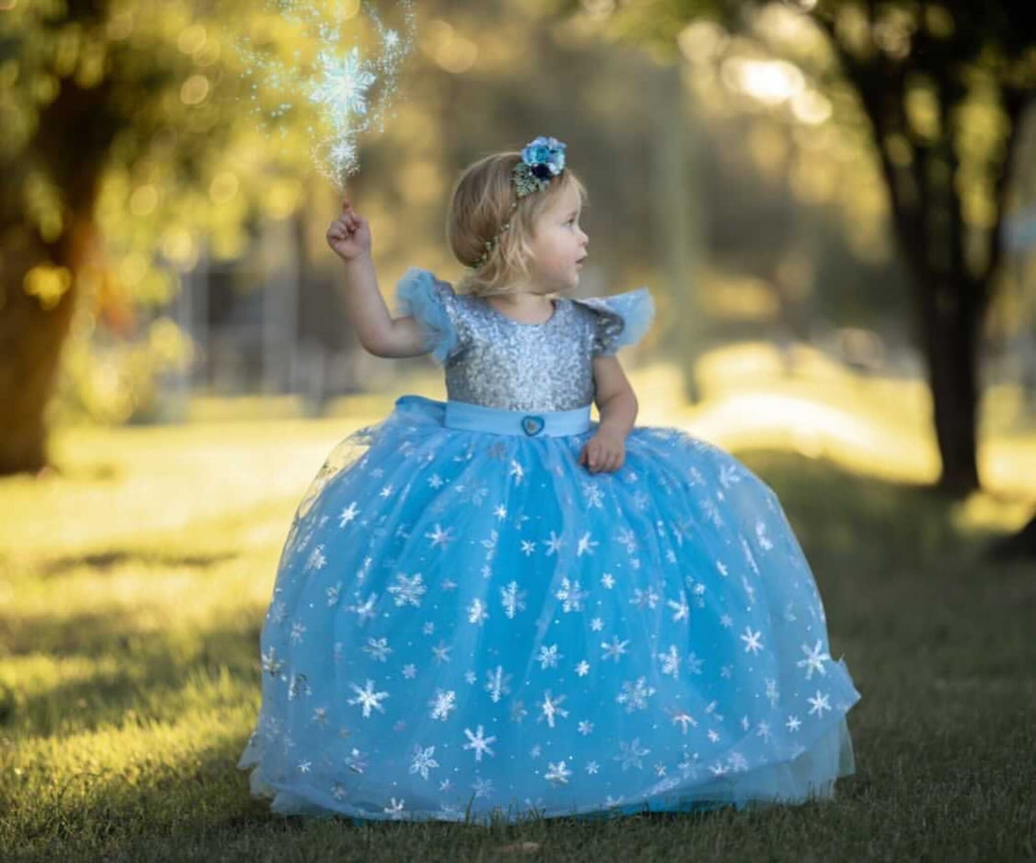Elsa Dress for Girl Frozen Elsa Birthday Costume Ball Gown Etsy Australia