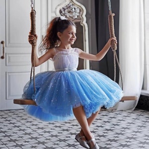 Baby Girl dress, Birthday Outfit Girl, Girls Blue Dress, First Birthday Toddler Dress, Flower Girl Dress, Cake Smash photoshoot Outfit