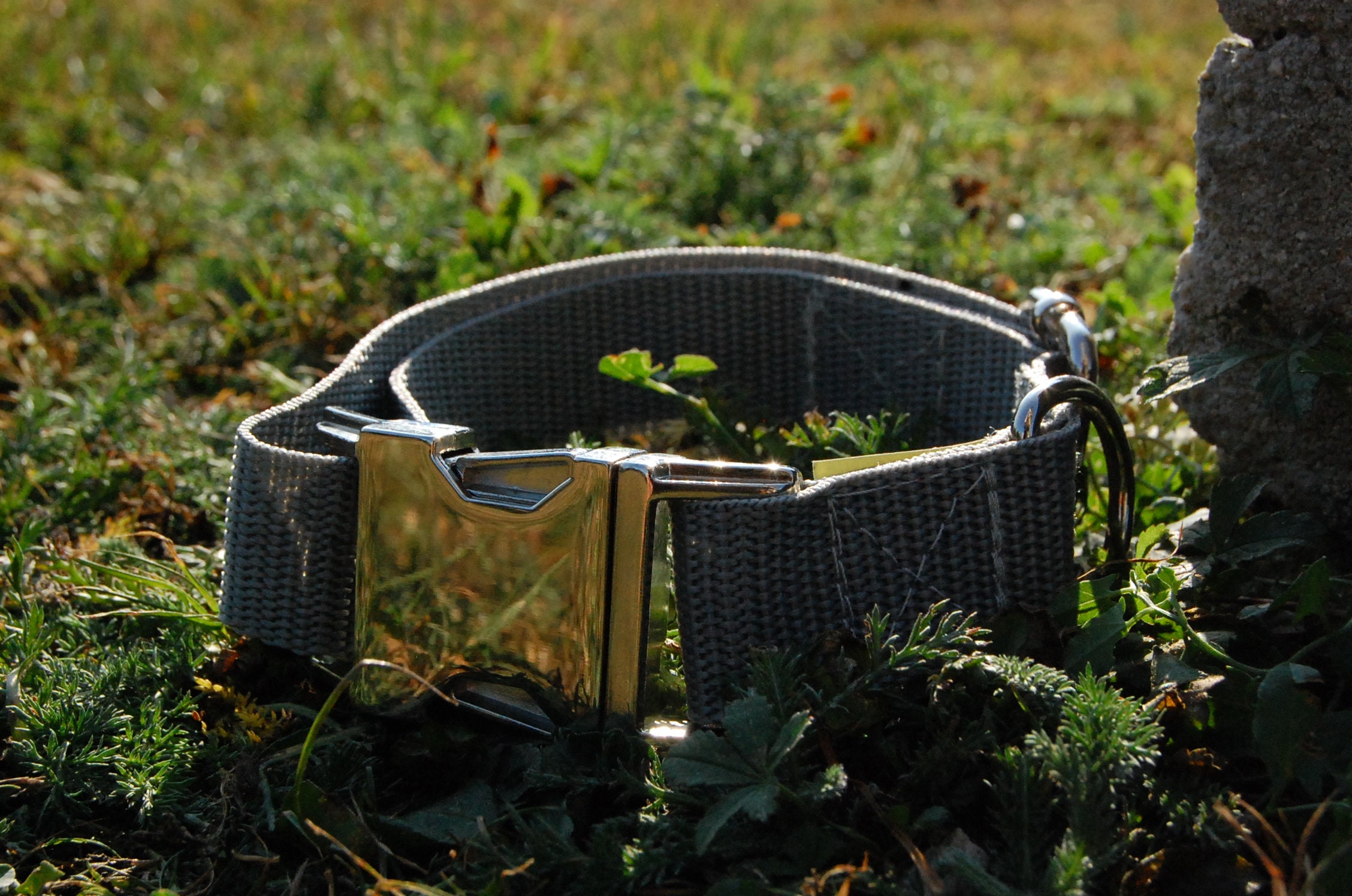 Collier Pour Animaux Uni Gris