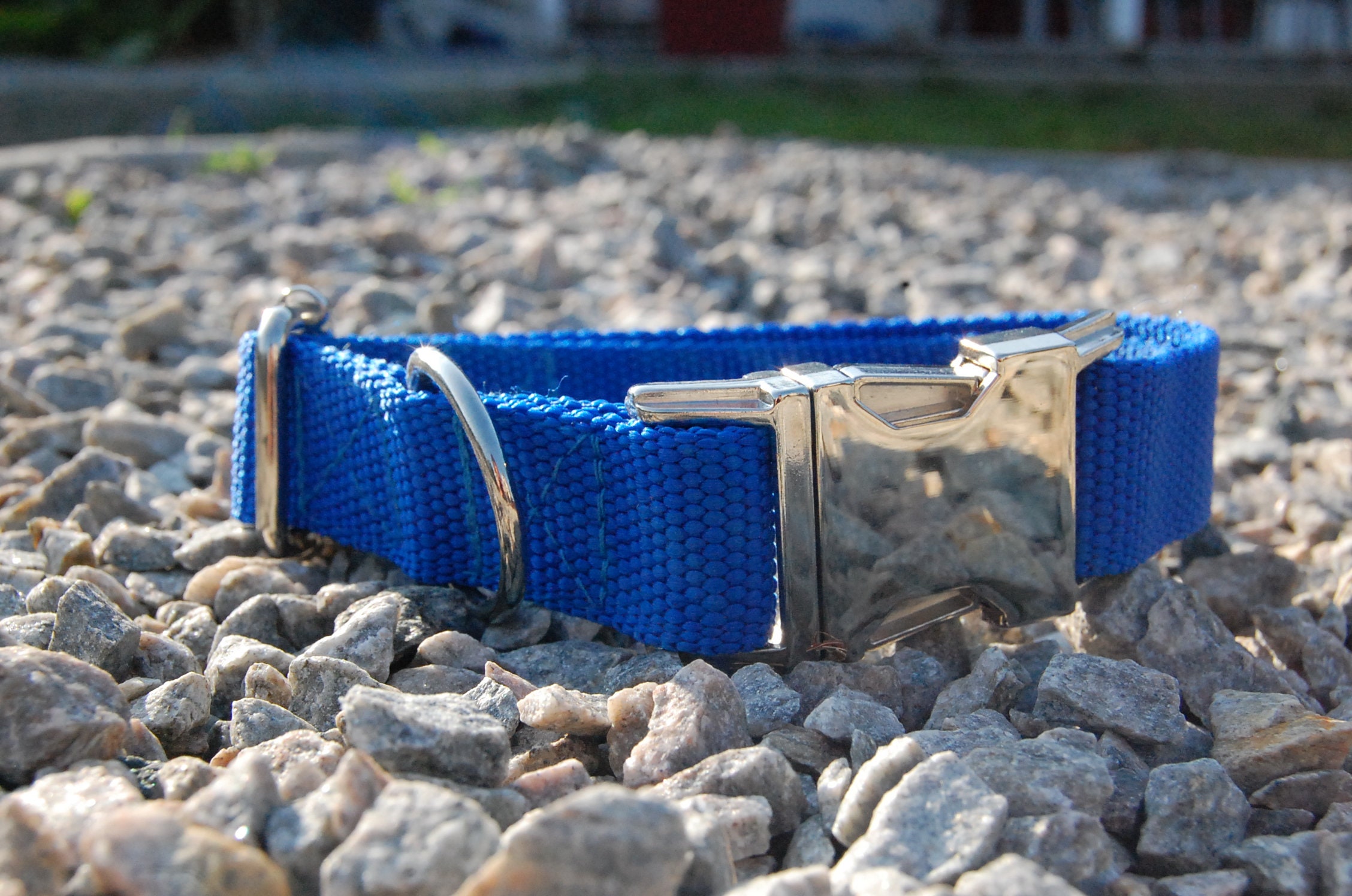 Collier Pour Chien Uni Bleu