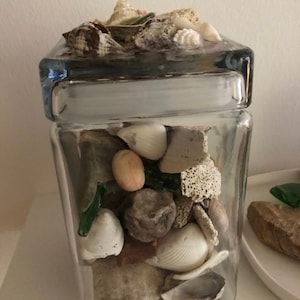 May include: A clear glass jar filled with a variety of seashells, rocks, and sand. The jar has a square shape and a thick glass lid.
