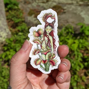 Venus Fly Trap (Die Cut Sticker)