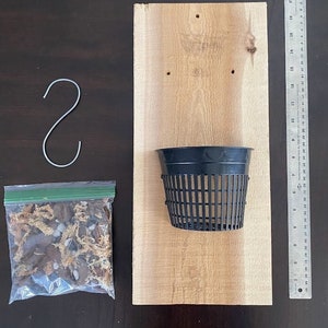 Outdoor Orchid mount kit on a Cedar board with a 5 inch mesh pot. Plus the kit includes an amazing custom Orchid mix!