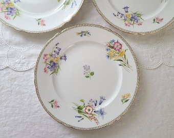 Shelley Wild Flower Plate 7-3/4" Bone China - England (Sold Individually)