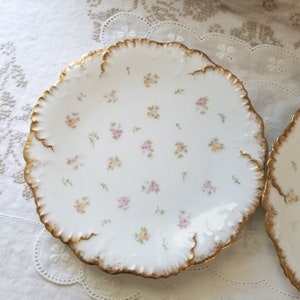 Limoges France Plate (chipped) - France Sold invidiaully