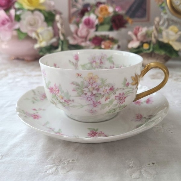 Haviland France Schleiger 75 cup and saucer set - France