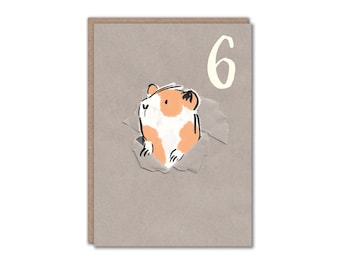 6th Birthday Card | Six Today | Guinea Pig