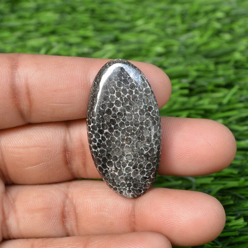 Top Quality Black Coral Natural Black Coral Gemstone Oval Etsy