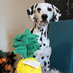 Snuff ball &quot;Pineapple&quot; Master class