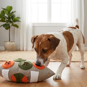 Machen Sie aus den Mahlzeiten ein Spiel mit dem Snuffle Ruby Ball!