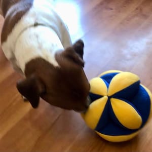 Snuff ball for the game and enrichment. Size 17 cm (6,7 inc)