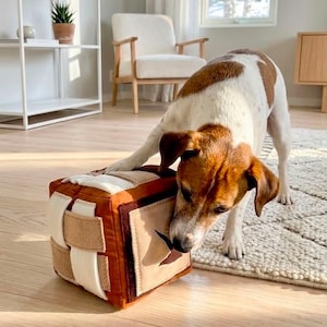 May include: A brown and cream fabric cube toy with woven strap details and a dark brown star-shaped cutout on the side. The cube features stitched edges and a soft, multi-textured surface, designed for interactive play with a small dog.