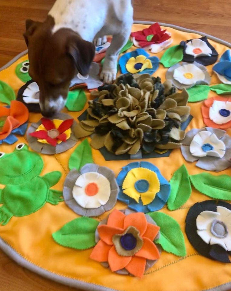 pet play mat