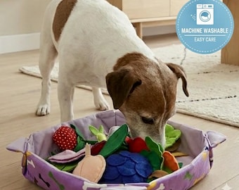 Set di frutta odorosa fatto a mano, giocattolo per arricchimento ambientale per cani, gioco rompicapo per gatti, distributore di cibo lento lavabile