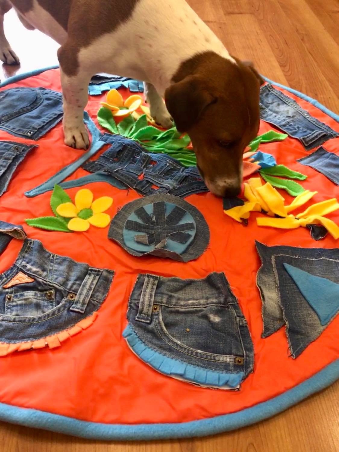Dog activity mat clearance diy