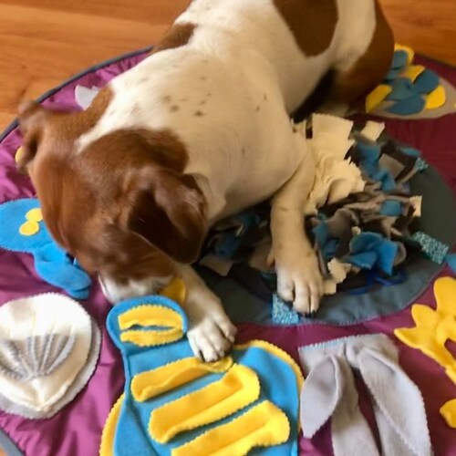 Interactive Dog and Cat Toys Handmade Pet Play Mat Snuffle Mat Etsy