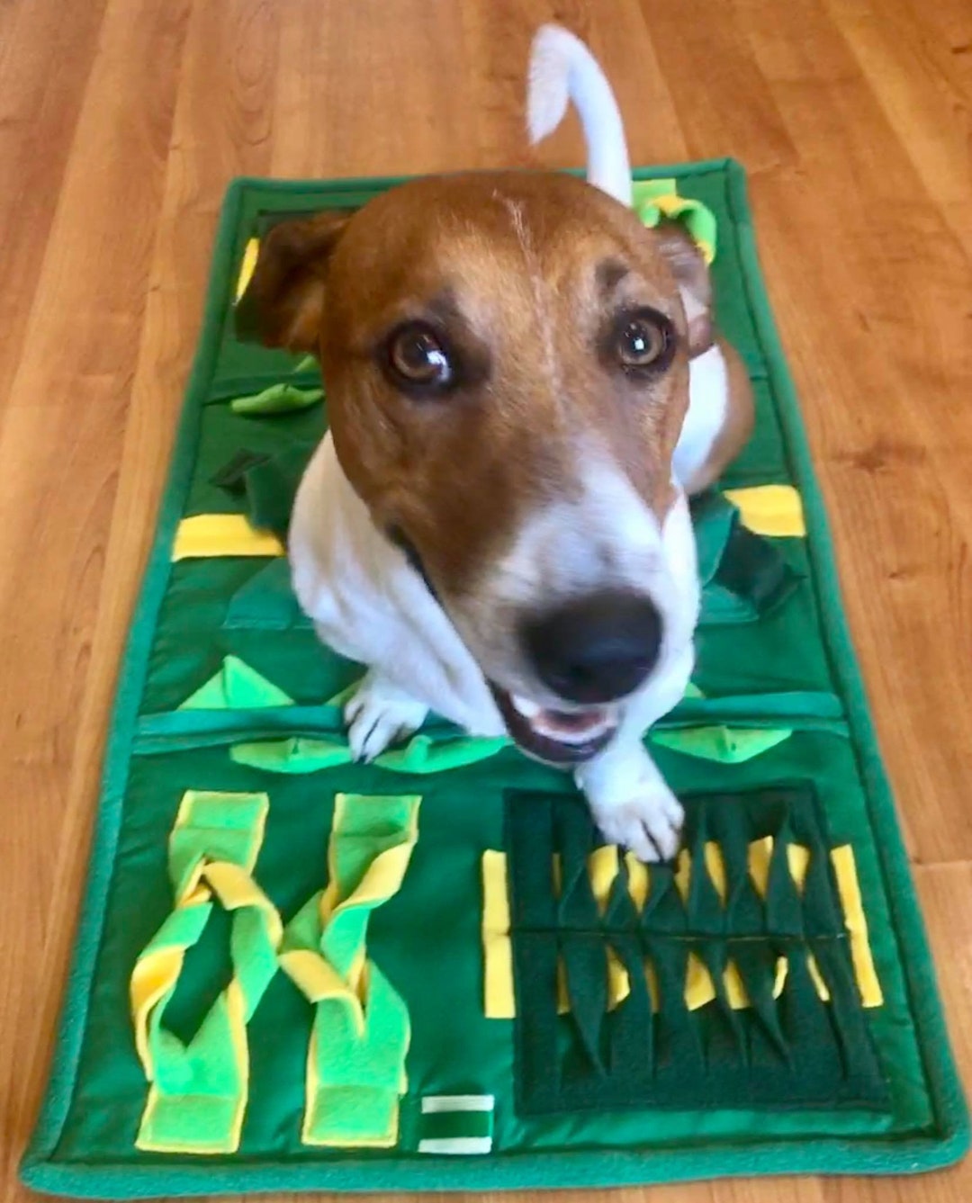 Interactive Dog and Cat Toys Playing Dog Mat Handmade Pet Play Etsy