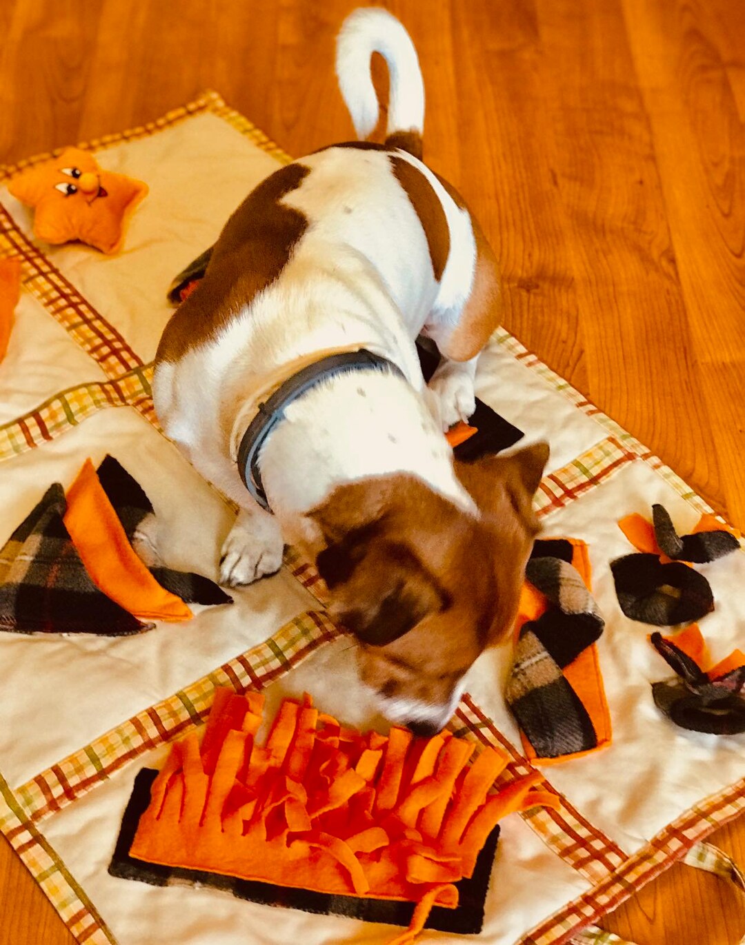 Interactive Dog and Cat Toys Playing Dog and Cat Mat Handmade Etsy