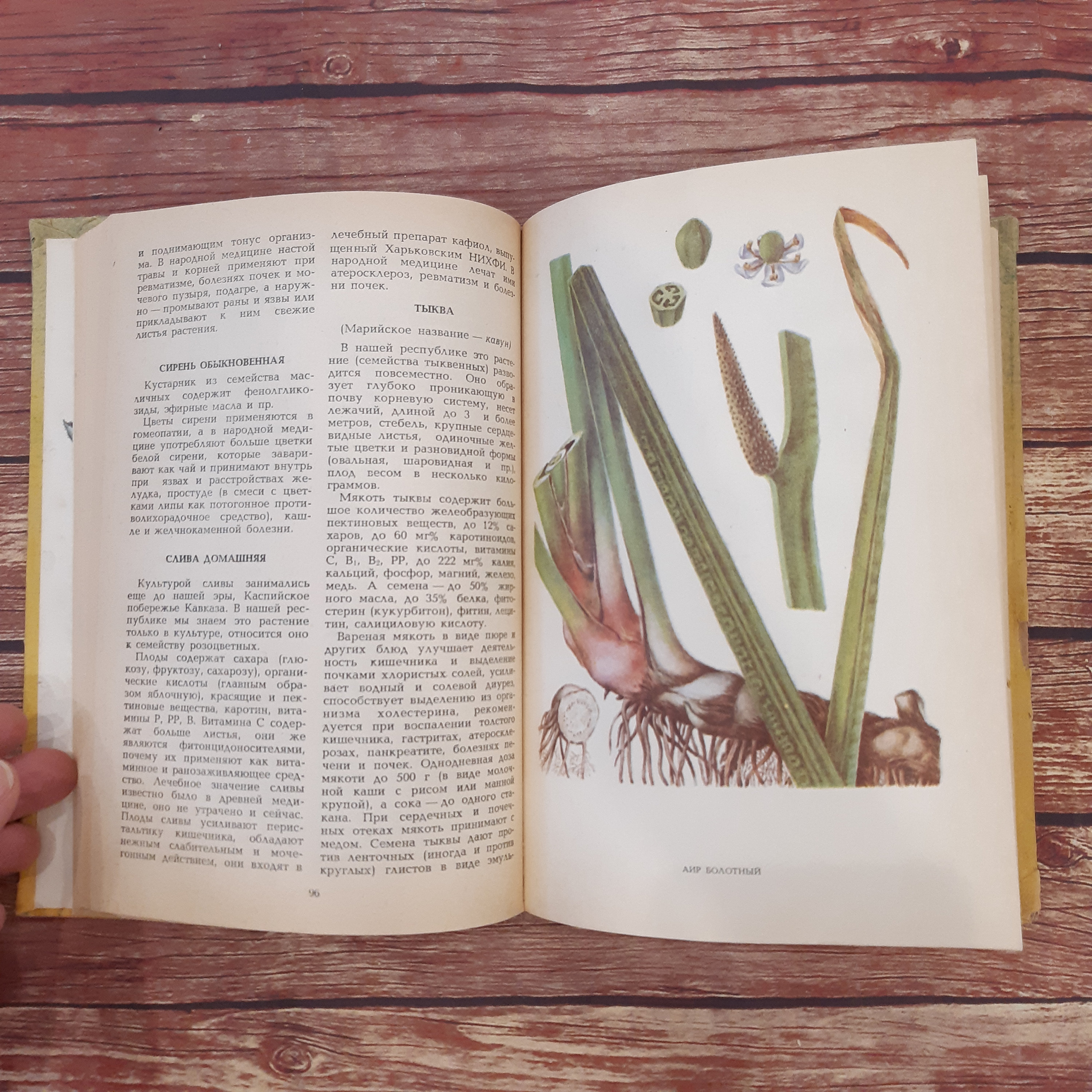 Vintage botanical book Medicinal herbs of the Mari Etsy