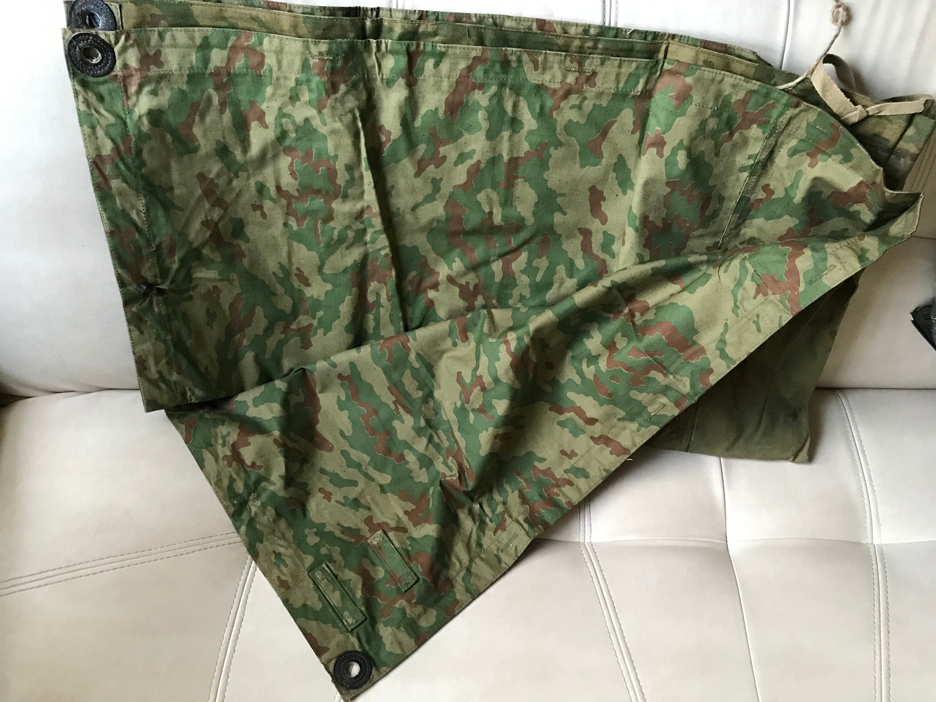 plash palatka pattern