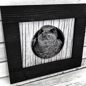 Grumpy Purple Martin - Songbird Print, Photograph, Picture, Black and White Wall Decor