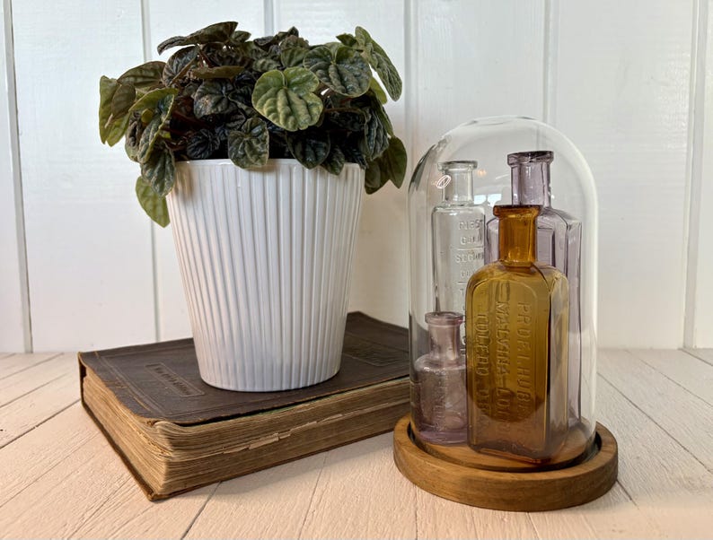 Vintage Glass Cloche Dome With Wood Base, Farmhouse Table Display Decor ...