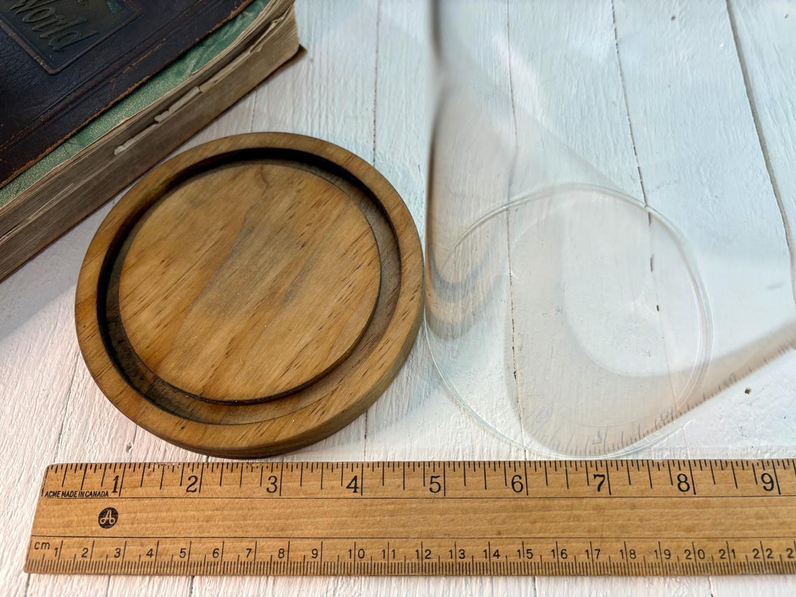 Vintage Glass Cloche Dome With Wood Base, Farmhouse Table Display Decor ...
