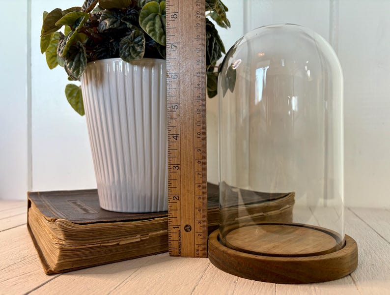 Vintage Glass Cloche Dome With Wood Base, Farmhouse Table Display Decor ...