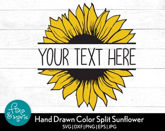 Download Split Sunflower Svg Etsy
