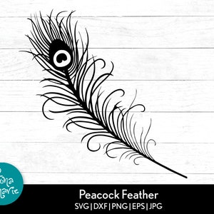 Download Peacock Svg Etsy