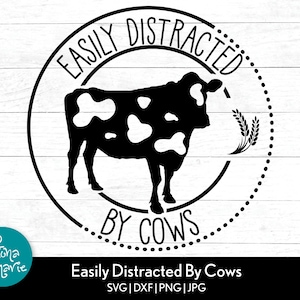 Facilement distrait par les vaches svg | Fille de ferme svg | Vache svg | png pour chemise | svg, png, jpg, dxf | Couper des fichiers pour Cricut et Silhouette