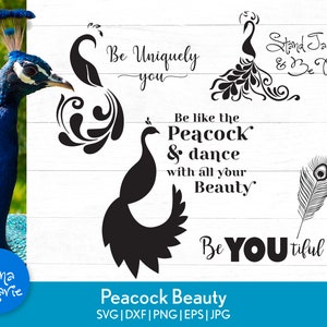 Peacock SVG-bundel inspirerende Peacock Quotes staan Tall Be Proud Be Uniquely You digitale snijbestanden voor Cricut en silhouet png voor shirt