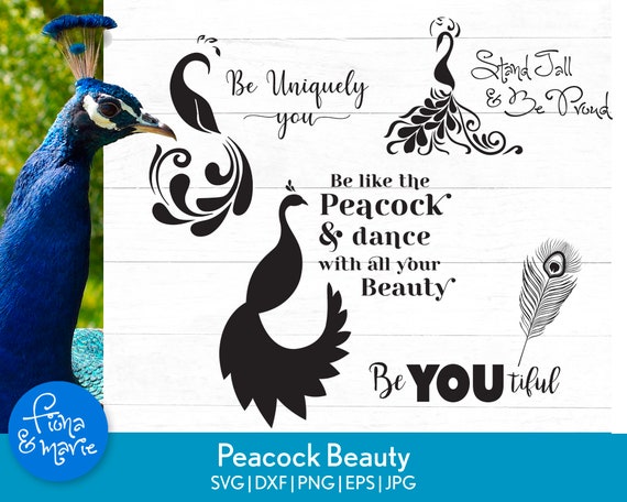 Download Peacock Beauty Svg Png Jpg Eps Dxf Cut Files For Etsy