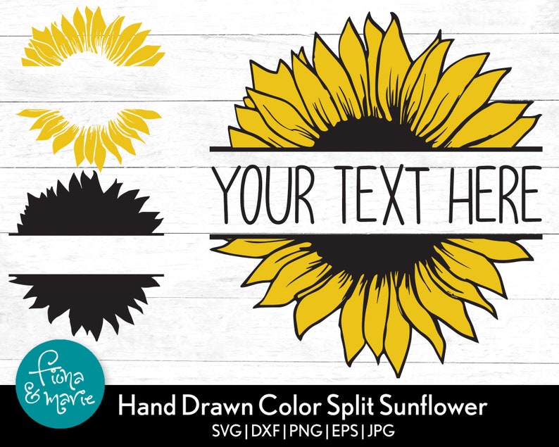 Download Split Sunflower svg Sunflower Monogram svg Color svg svg ...