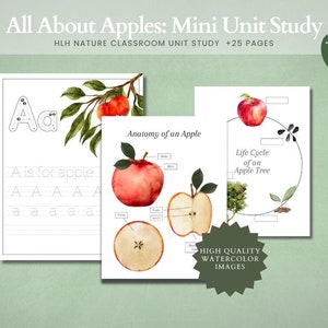 Apple Unit Study | Charlotte Mason Unit Study | Homeschool Unit Study | Apple Unit Study | Homeschool Lessons | Preschool | Kindergarten