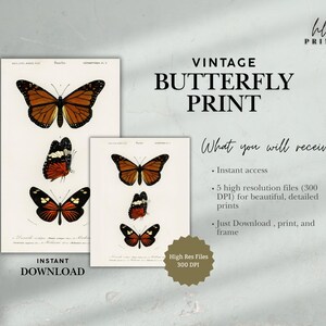 Vintage Butterfly Print | Antique Wall Art | Vintage Art | Vintage Botanical | Digital Download | Printable | Vintage Entomology Poster