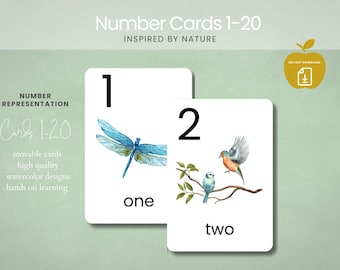 Cartes-éclair sur les nombres de la nature 1-20 : École à la maison à la maternelle (téléchargement PDF)