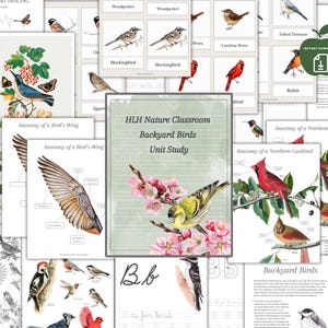 May include: A printable set of educational resources for learning about backyard birds. The set includes illustrations of birds, their anatomy, and activities for kids. The title of the set is "HLH Nature Classroom Backyard Birds Unit Study".