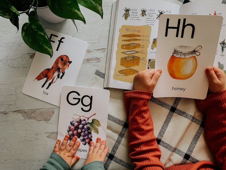 Peut inclure: Trois cartes de lettres avec des illustrations. La premi&egrave;re carte montre la lettre F et un renard, la deuxi&egrave;me carte montre la lettre G et une grappe de raisin, et la troisi&egrave;me carte montre la lettre H et un pot de miel.