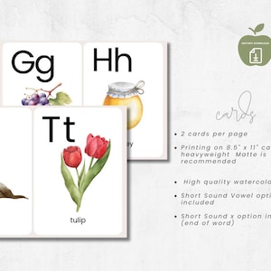 Peut inclure: Cartes de lettres imprimables avec des illustrations &agrave; l'aquarelle d'un bouquet de raisin, un pot de miel, un phoque et une tulipe. Chaque carte comprend la lettre et un mot pour l'image. Le texte "2 cartes par page" est visible sur le c&ocirc;t&eacute; droit de l'image.