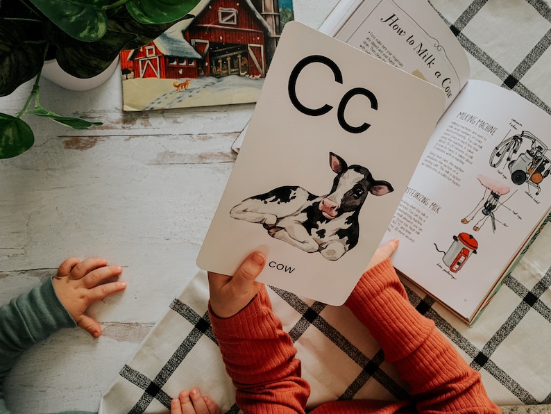 Peut inclure: Un enfant tient une carte blanche avec la lettre C et une illustration en noir et blanc d'une vache. Le texte "COW" est imprim&eacute; sous l'illustration. L'enfant porte une chemise &agrave; manches longues rouge. La carte est pos&eacute;e sur un livre intitul&eacute; "How to Milk a Cow".