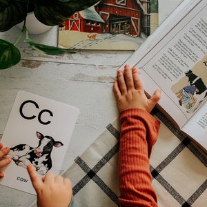 Peut inclure: Un enfant apprend l'alphabet avec une carte flash repr&eacute;sentant la lettre C et une image d'une vache. Le mot "vache" est imprim&eacute; sous l'image. L'enfant lit &eacute;galement un livre sur la fa&ccedil;on de traire une vache.