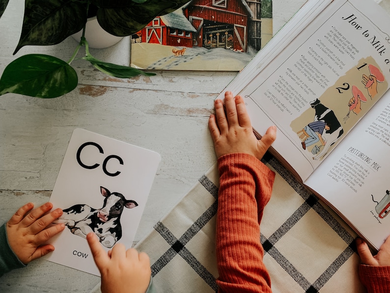 Peut inclure: Un enfant apprend l'alphabet avec une carte flash repr&eacute;sentant la lettre C et une image d'une vache. Le mot "vache" est imprim&eacute; sous l'image. L'enfant lit &eacute;galement un livre sur la fa&ccedil;on de traire une vache.