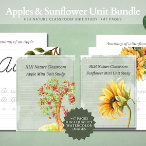 Apfel & Sonnenblume Einzelpaket | Charlotte Mason | Hausschule | Naturstudie | Homeschool Unterricht | Vorschule | Kindergarten | Druckbar