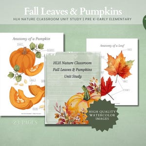 Fall and Pumpkin Unit Study | Homeschool | Kindergarten | Homeschool Lessons | Preschool | Elementary | Worksheets | Workbook |Fall Unit