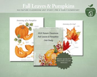 Fall and Pumpkin Unit Study | Homeschool | Kindergarten | Homeschool Lessons | Preschool | Elementary | Worksheets | Workbook |Fall Unit