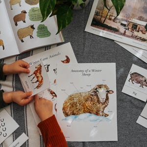 Winter Farm Unit Study | Charlotte Mason Unit Study | Homeschool Unit Study | Winter Unit Study | Homeschool Lessons | Winter Unit